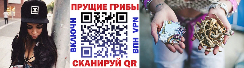Купить где  Сосенский  Псилоцибиновые грибы Magic Shrooms 